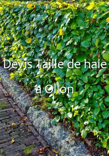 Devis Taille de haie a Ollon