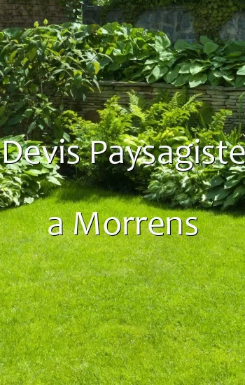 Devis Paysagiste a Morrens
