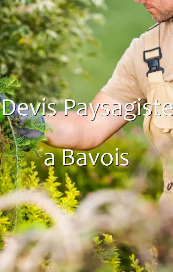 Devis Paysagiste a Bavois