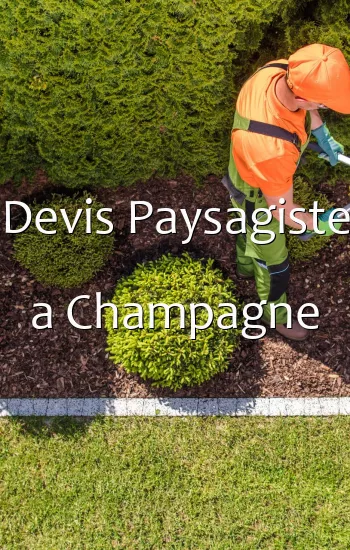 Devis Paysagiste a Champagne