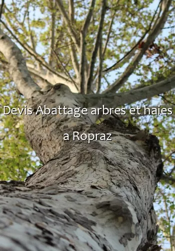 Devis Abattage arbres et haies a Ropraz