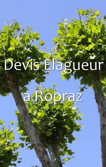 Devis Elagueur a Ropraz