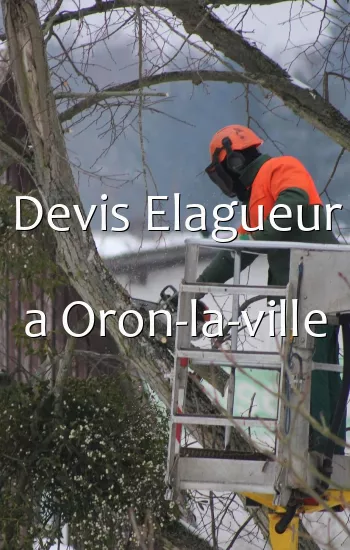 Devis Elagueur a Oron-la-ville