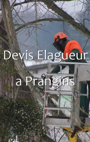 Devis Elagueur a Prangins