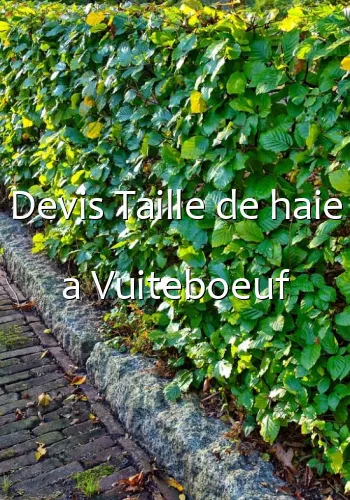 Devis Taille de haie a Vuiteboeuf