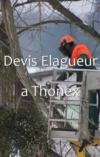 Devis Elagueur a Thonex