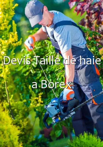 Devis Taille de haie a Borex
