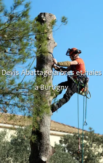 Devis Abattage arbres et haies a Burtigny