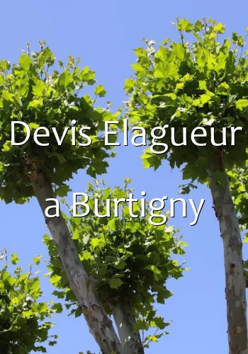 Devis Elagueur a Burtigny