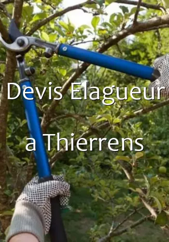 Devis Elagueur a Thierrens