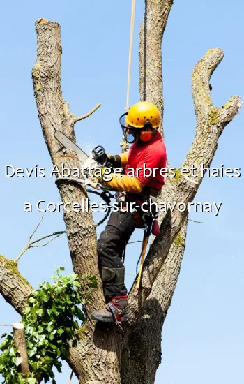 Devis Abattage arbres et haies a Corcelles-sur-chavornay
