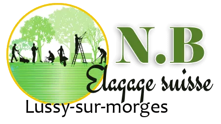 N.B elagage