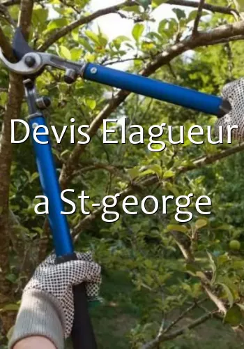 Devis Elagueur a St-george