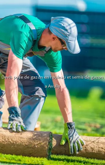 Devis pose de gazon en rouleau et semis de gazon a Avully