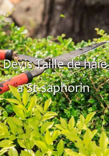 Devis Taille de haie a St-saphorin 