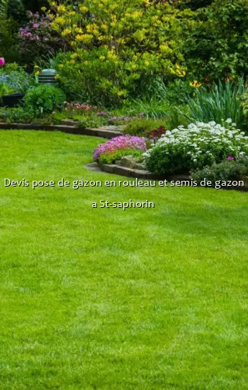 Devis pose de gazon en rouleau et semis de gazon a St-saphorin 