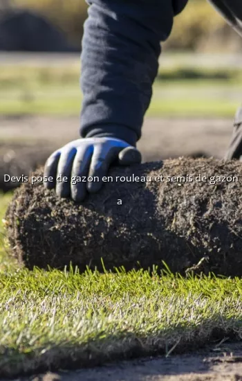 Devis pose de gazon en rouleau et semis de gazon a 