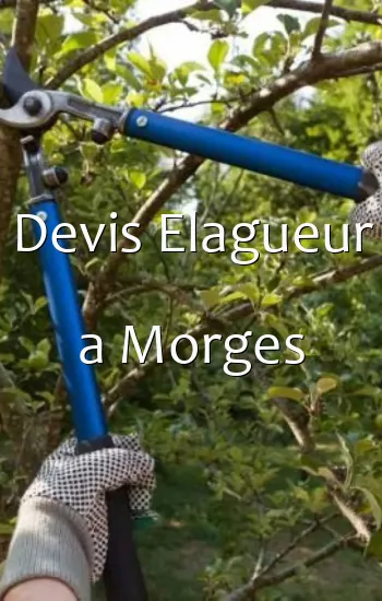 Devis Elagueur a Morges