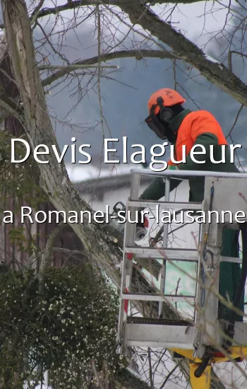 Devis Elagueur a Romanel-sur-lausanne