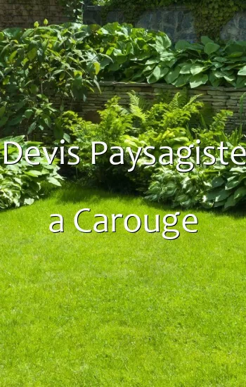Devis Paysagiste a Carouge
