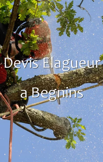 Devis Elagueur a Begnins