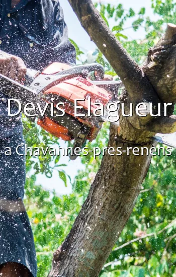 Devis Elagueur a Chavannes-pres-renens